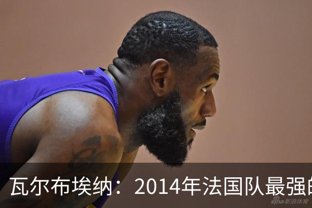 瓦尔布埃纳：2014年法国队最强的是博格巴，最被低估的是马图伊迪