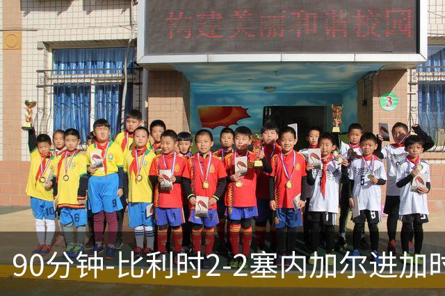 90分钟-比利时2-2塞内加尔进加时 卢卡库替补建功蒂莱曼斯绝平
